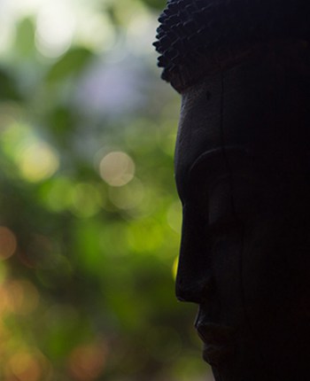 Angkor Buddha Face
